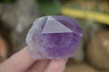 Natural Single Jacaranda Amethyst Crystals  x 24 From Mumbwa, Zambia - Toprock Gemstones and Minerals 