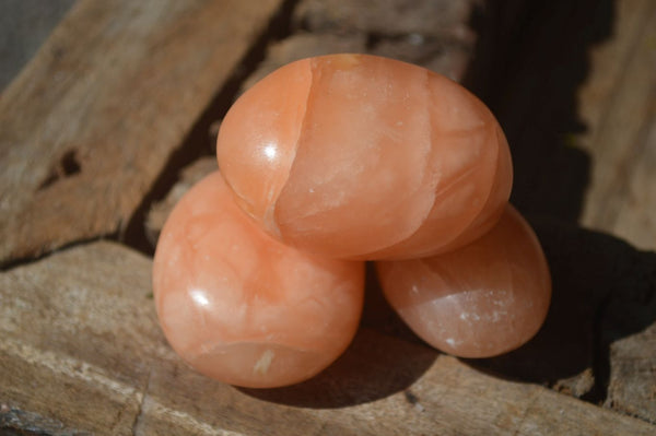 Polished Orange Twist Calcite Palm Stones  x 12 From Madagascar - Toprock Gemstones and Minerals 