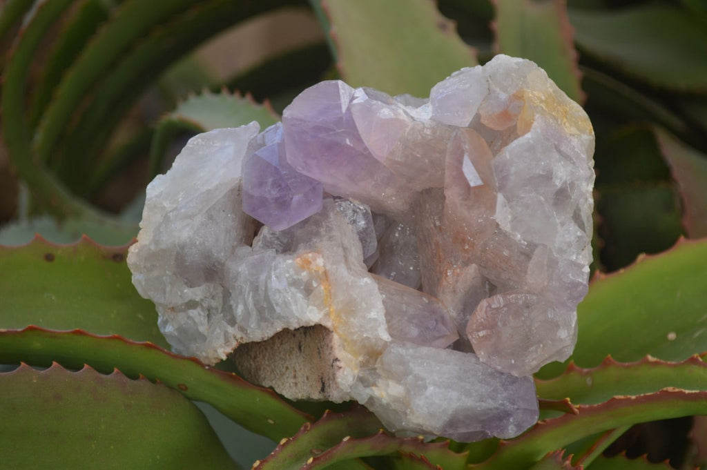 Natural Jacaranda Amethyst Clusters x 2 From Zambia - Toprock Gemstones and Minerals 