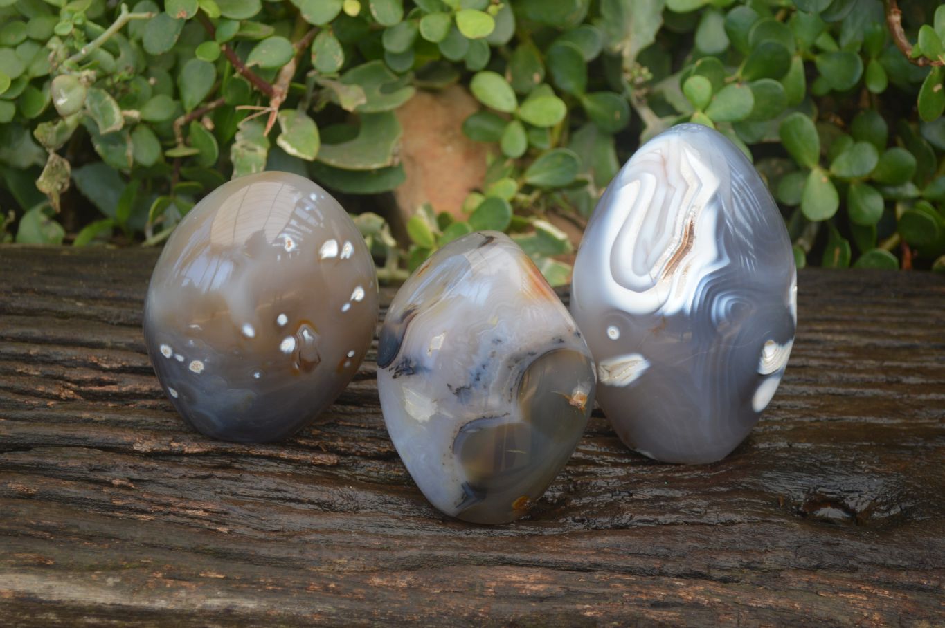 Polished Mixed Agate Standing Free Forms  x 3 From Madagascar - Toprock Gemstones and Minerals 