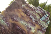 Polished Semi Translucent Watermelon Fluorite Slices  x 2 From Uis, Namibia - TopRock