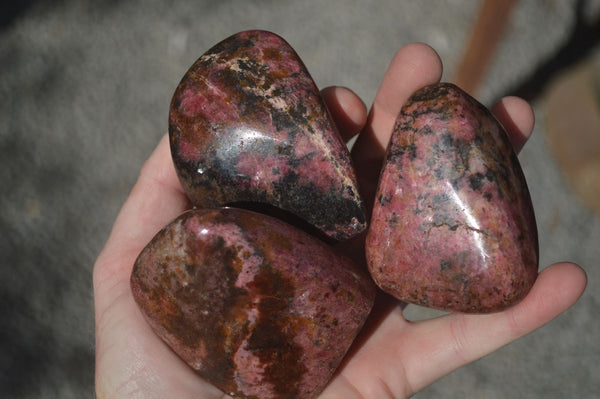 Polished Red Rhodonite Free Forms  x 6 From Zimbabwe - Toprock Gemstones and Minerals 