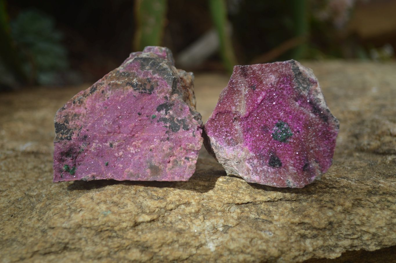 Natural Pink Salrose Cobaltion Dolomite Specimens  x 9 From Kakanda, Congo - Toprock Gemstones and Minerals 