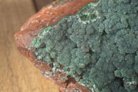 Natural Drusy Coated Ball Malachite On Dolomite Specimen  x 1 From Likasi, Congo - Toprock Gemstones and Minerals 
