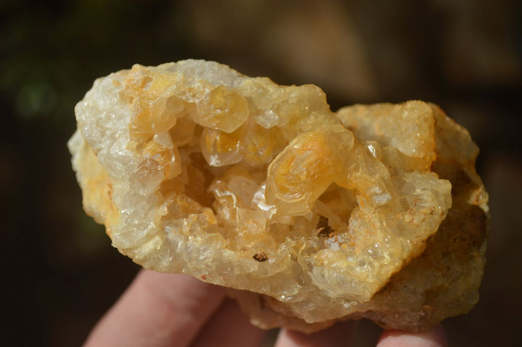 Natural Limonite Quartz Clusters x 12 From Solwezi, Zambia - Toprock Gemstones and Minerals 
