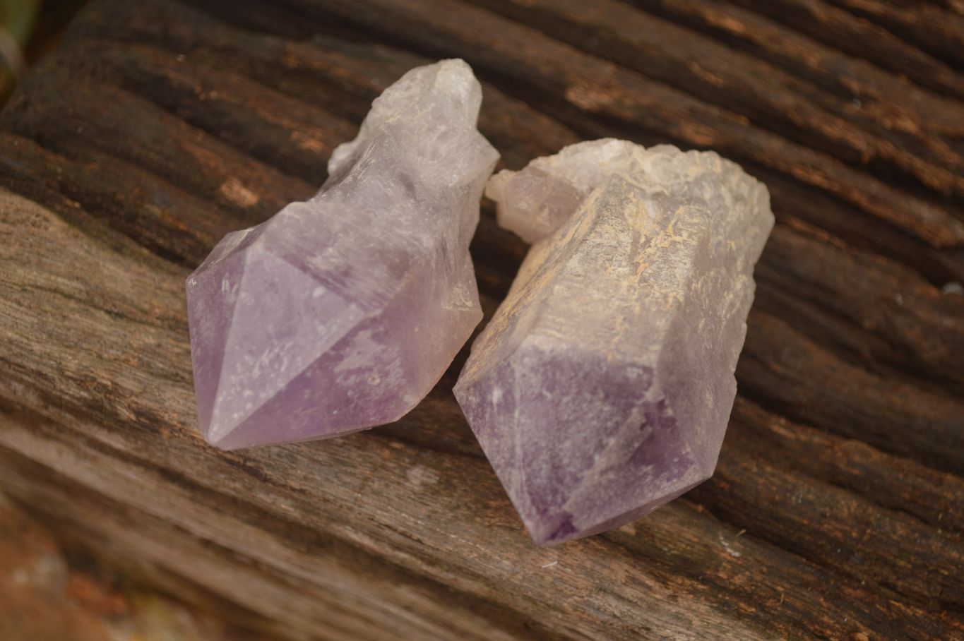 Natural Jacaranda Amethyst Crystals x 12 From Mumbwa, Zambia - Toprock Gemstones and Minerals 