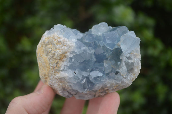 Natural Blue Celestite Crystal Specimens  x 3 From Sakoany, Madagascar - Toprock Gemstones and Minerals 