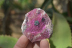 Natural Pink Salrose Cobaltion Dolomite Specimens  x 9 From Kakanda, Congo - Toprock Gemstones and Minerals 