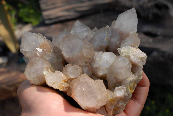 Natural Clear Lwena White Phantom Quartz Cluster x 1 From Lwena, Congo - TopRock