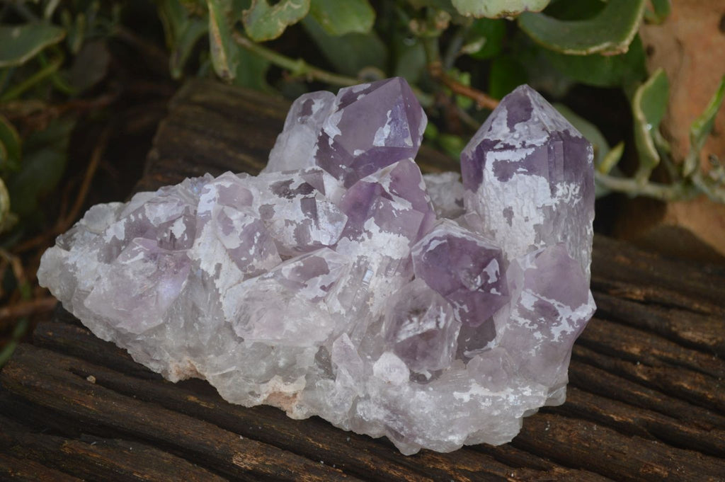 Natural Jacaranda Amethyst Clusters x 2 From Zambia - Toprock Gemstones and Minerals 