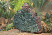 Natural Drusy Coated Ball Malachite On Dolomite Specimen  x 1 From Likasi, Congo - Toprock Gemstones and Minerals 
