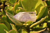 Polished Smokey Dream Amethyst Points  x 6 From Madagascar - TopRock
