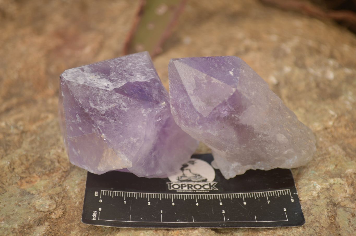 Natural Jacaranda Amethyst Crystals x 12 From Mumbwa, Zambia - Toprock Gemstones and Minerals 