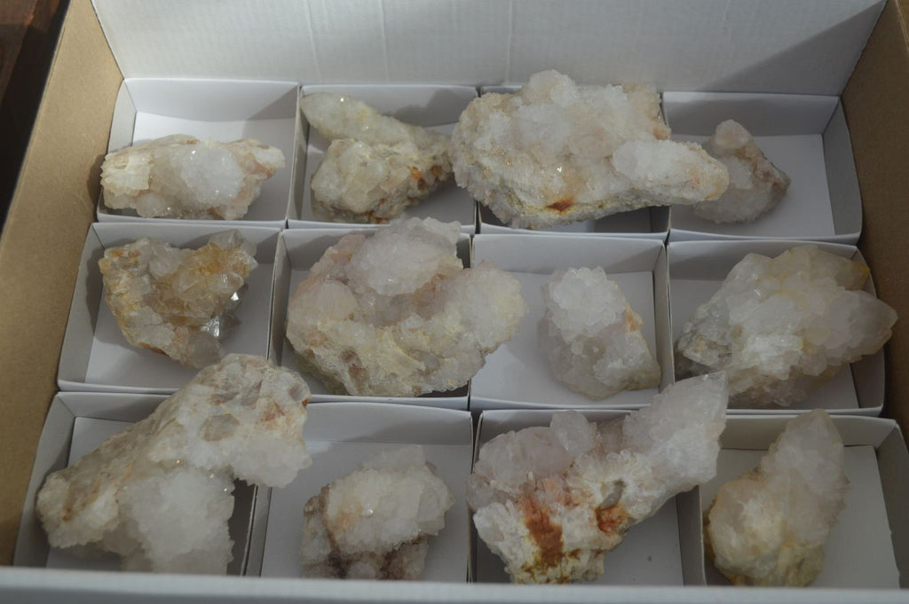 Natural White Cactus Flower Spirit Quartz Specimens x 12 From Boekenhouthoek, South Africa - Toprock Gemstones and Minerals 