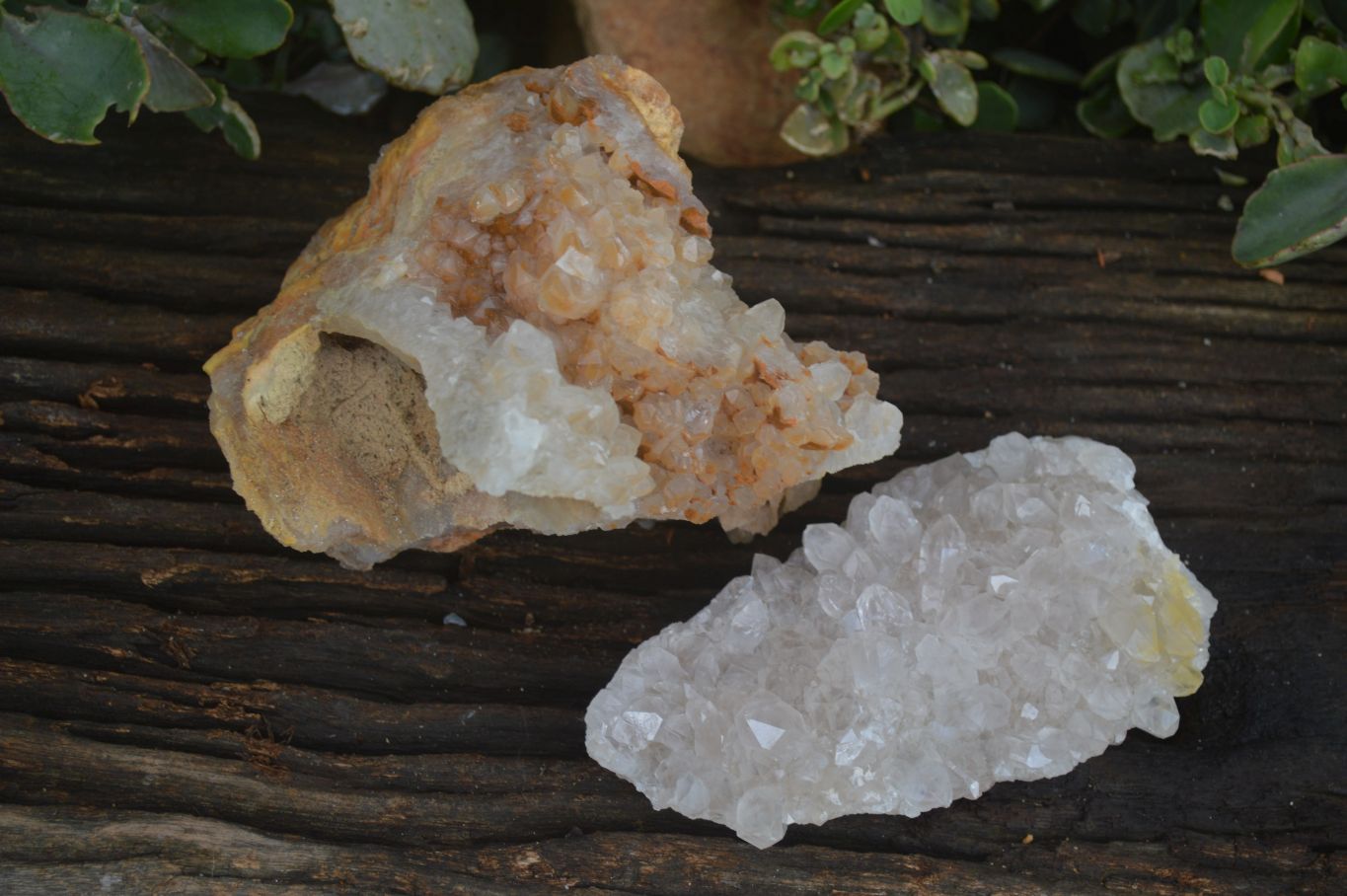 Natural Limonite Tinted Quartz Crystal Specimens  x 2 From Zambia - Toprock Gemstones and Minerals 