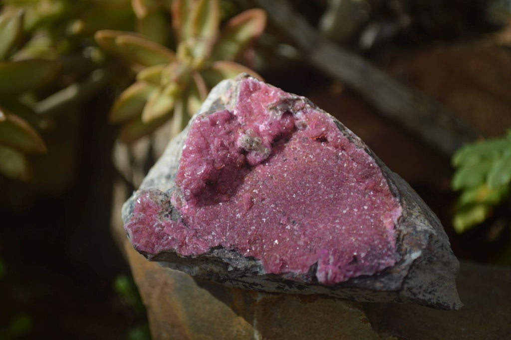 Natural Pink Salrose Cobaltion Dolomite Specimens  x 9 From Kakanda, Congo - Toprock Gemstones and Minerals 