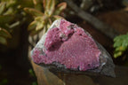 Natural Pink Salrose Cobaltion Dolomite Specimens  x 9 From Kakanda, Congo - Toprock Gemstones and Minerals 