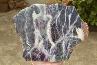 Polished Semi Translucent Watermelon Fluorite Slices  x 2 From Uis, Namibia - TopRock