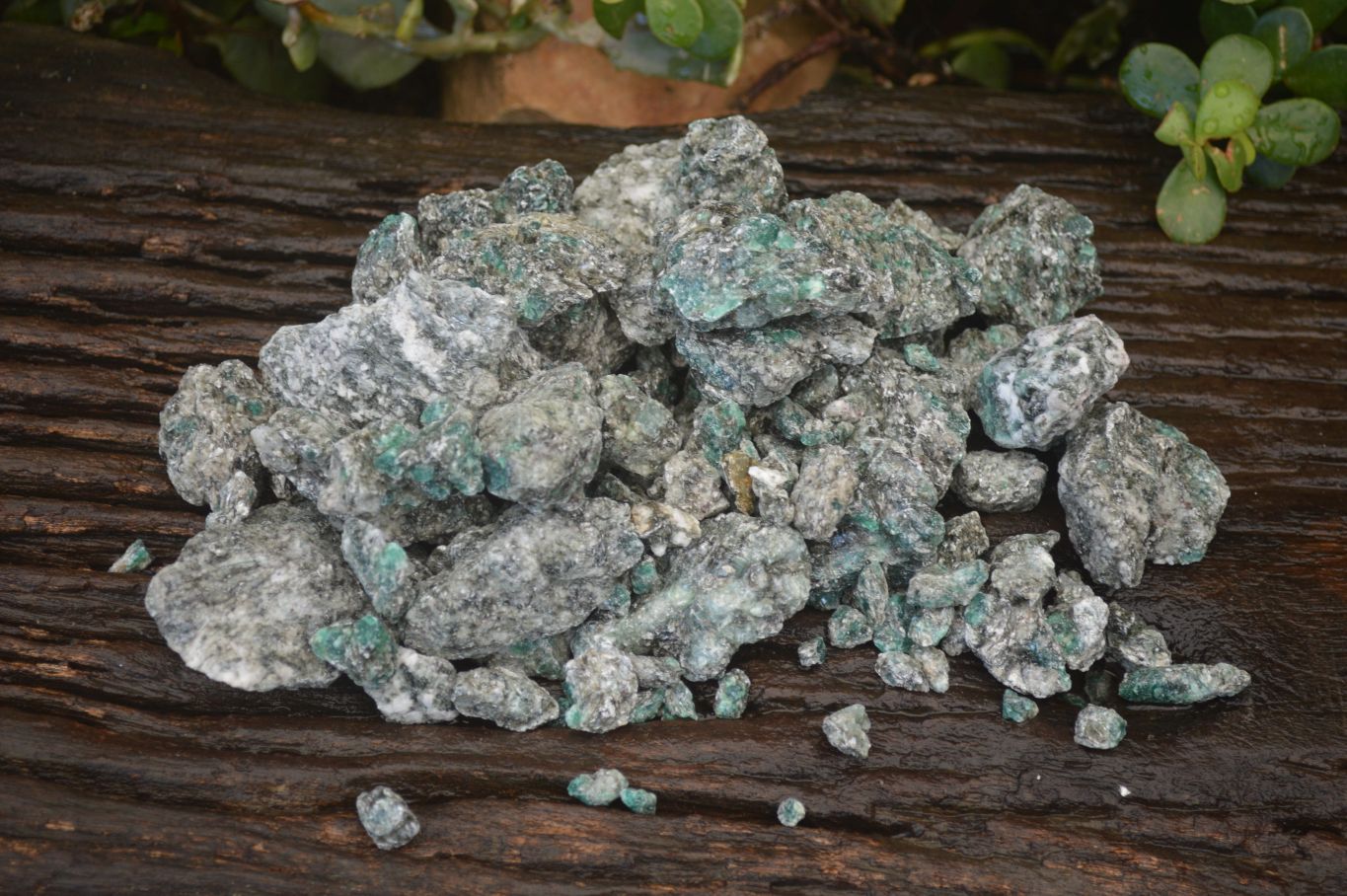 Natural Rare Emerald Mica In Matrix Cobbed Specimens x Lot From Mutoko, Zimbabwe - Toprock Gemstones and Minerals 