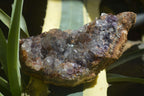 Natural Amethyst In Basalt Geode Specimens  x 6 From Zululand, South Africa - TopRock