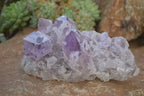 Natural Jacaranda Amethyst Clusters x 2 From Zambia - Toprock Gemstones and Minerals 