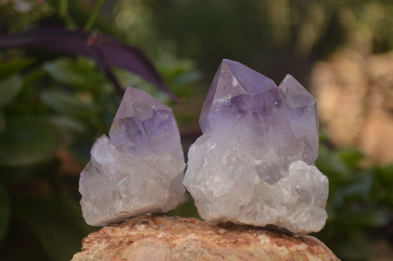 Natural Jacaranda Amethyst Crystals x 12 From Mumbwa, Zambia - Toprock Gemstones and Minerals 