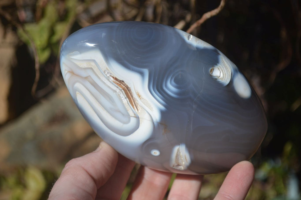 Polished Mixed Agate Standing Free Forms  x 3 From Madagascar - Toprock Gemstones and Minerals 