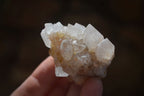 Natural White Cactus Flower Spirit Quartz Specimens x 12 From Boekenhouthoek, South Africa - Toprock Gemstones and Minerals 