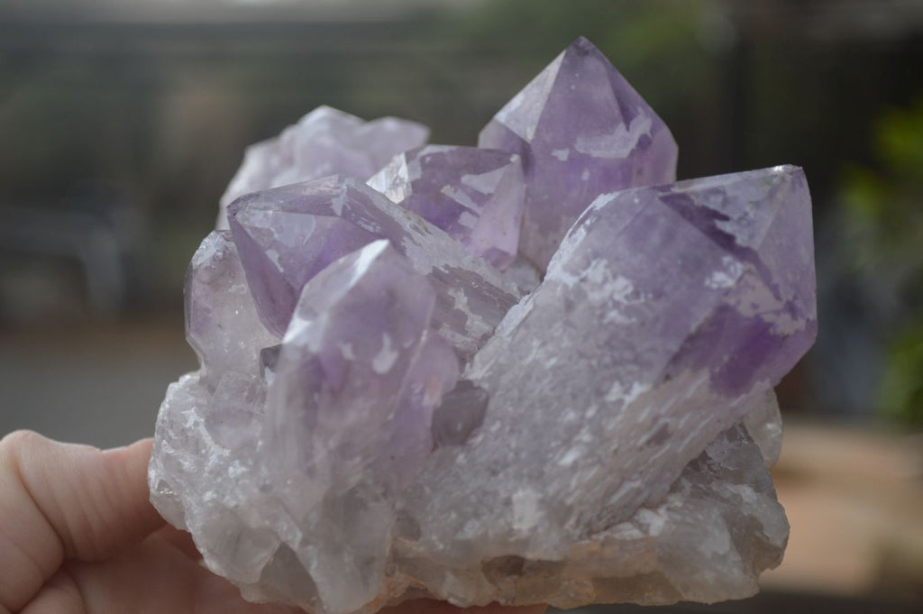 Natural Jacaranda Amethyst Clusters x 2 From Zambia - Toprock Gemstones and Minerals 