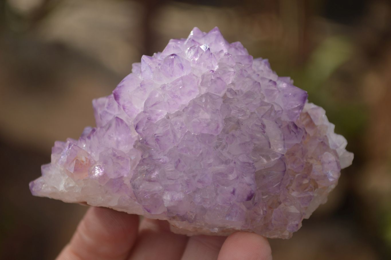 Natural Spirit Amethyst Quartz Clusters x 2 From Boekenhouthoek, South Africa - Toprock Gemstones and Minerals 