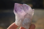 Natural Jacaranda Amethyst Crystals x 12 From Mumbwa, Zambia - Toprock Gemstones and Minerals 