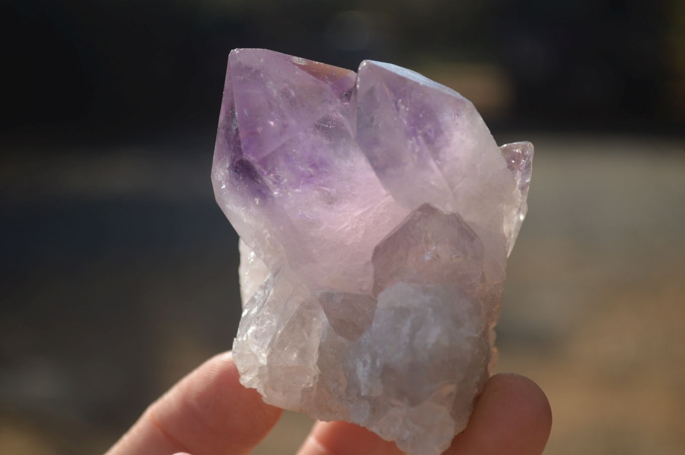 Natural Jacaranda Amethyst Crystals x 12 From Mumbwa, Zambia - Toprock Gemstones and Minerals 