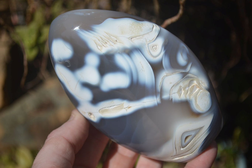 Polished Mixed Agate Standing Free Forms  x 3 From Madagascar - Toprock Gemstones and Minerals 