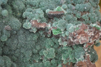 Natural Drusy Coated Ball Malachite On Dolomite Specimen  x 1 From Likasi, Congo - Toprock Gemstones and Minerals 
