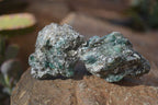 Natural Rare Emerald Mica In Matrix Cobbed Specimens x Lot From Mutoko, Zimbabwe - Toprock Gemstones and Minerals 