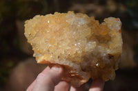 Natural Limonite Quartz Clusters x 12 From Solwezi, Zambia - Toprock Gemstones and Minerals 