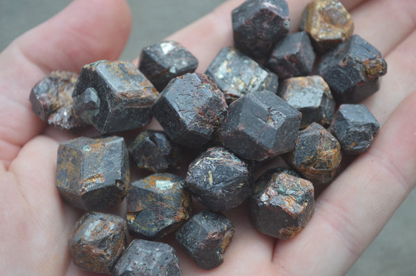 Natural Red & Brown Fully Formed Dodecagon Pyrope Garnet Crystals  - Sold per 500 g (70 to 85 pieces) - From Zimbabwe - Toprock Gemstones and Minerals 