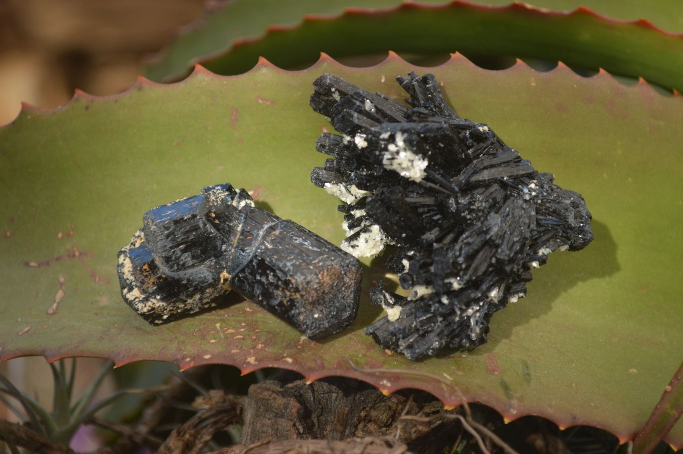 Natural Schorl Black Tourmaline Specimens x 35 From Erongo, Namibia - Toprock Gemstones and Minerals 