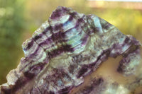 Polished Semi Translucent Watermelon Fluorite Slices  x 2 From Uis, Namibia - TopRock