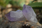 Natural Single Jacaranda Amethyst Crystals  x 24 From Mumbwa, Zambia - Toprock Gemstones and Minerals 