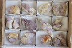 Polished Gorgeous Mixed Selection Of Lilac Spirit Quartz Clusters  x 16 From Boekenhouthoek, South Africa - TopRock