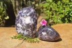 Polished Purple Lepidolite Free Forms x 2 From Zimbabwe - TopRock