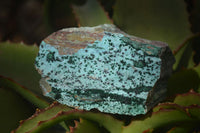 Natural Drusy Coated Chrysocolla Specimens x 3 From Kakanda, Congo - Toprock Gemstones and Minerals 
