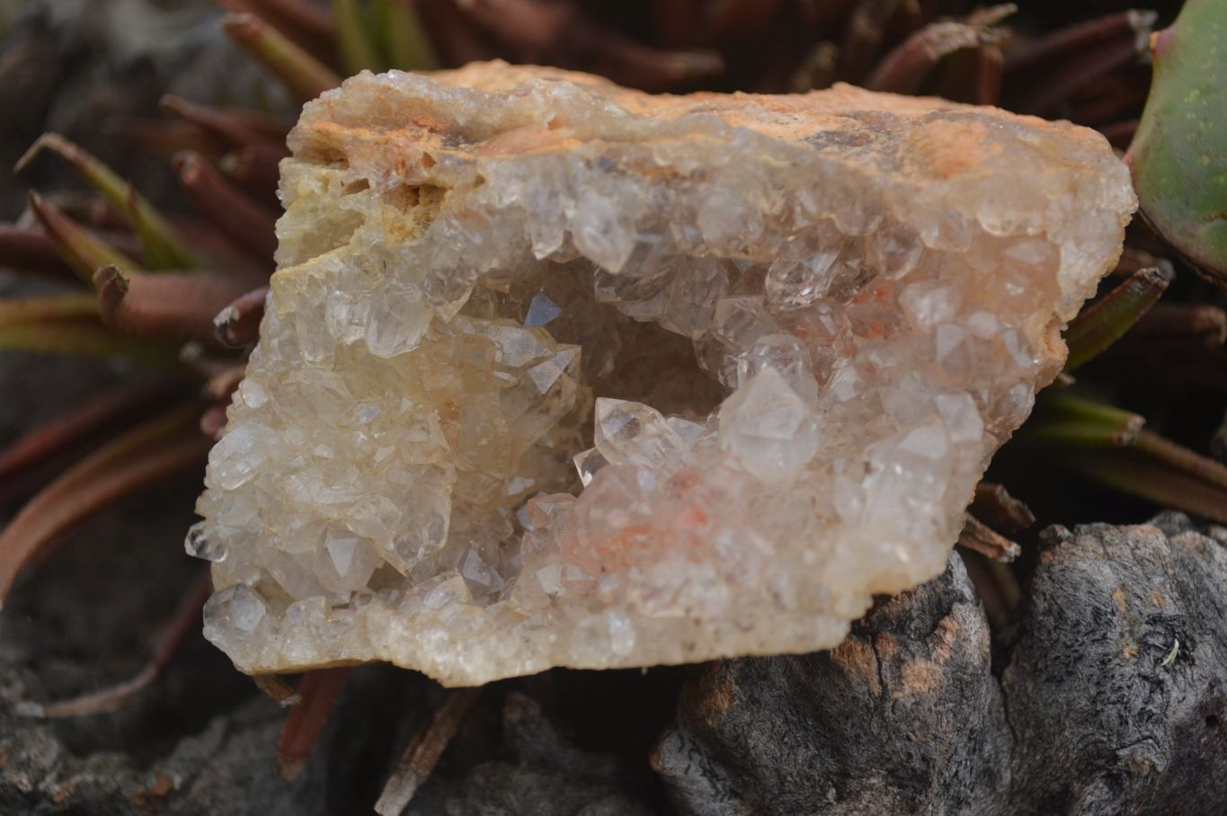 Natural Golden Limonite / Lemonite Quartz Clusters  x 24 From Zambia - Toprock Gemstones and Minerals 