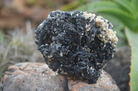 Natural Schorl Black Tourmaline Specimens x 2 From Erongo Mountains, Namibia - TopRock