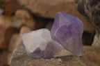 Natural Jacaranda Amethyst Crystals x 12 From Mumbwa, Zambia - Toprock Gemstones and Minerals 
