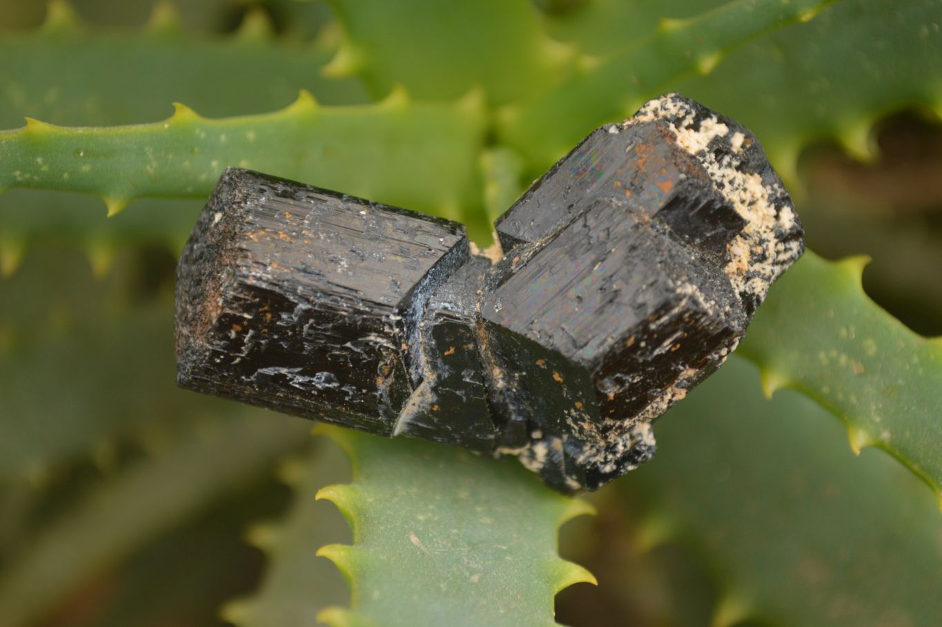 Natural Schorl Black Tourmaline Specimens x 35 From Erongo, Namibia - Toprock Gemstones and Minerals 