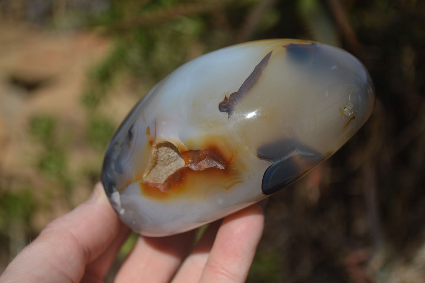 Polished Mixed Agate Standing Free Forms  x 3 From Madagascar - Toprock Gemstones and Minerals 