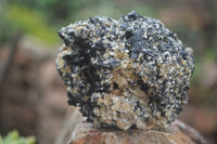 Natural Schorl Black Tourmaline Specimens x 2 From Erongo Mountains, Namibia - TopRock