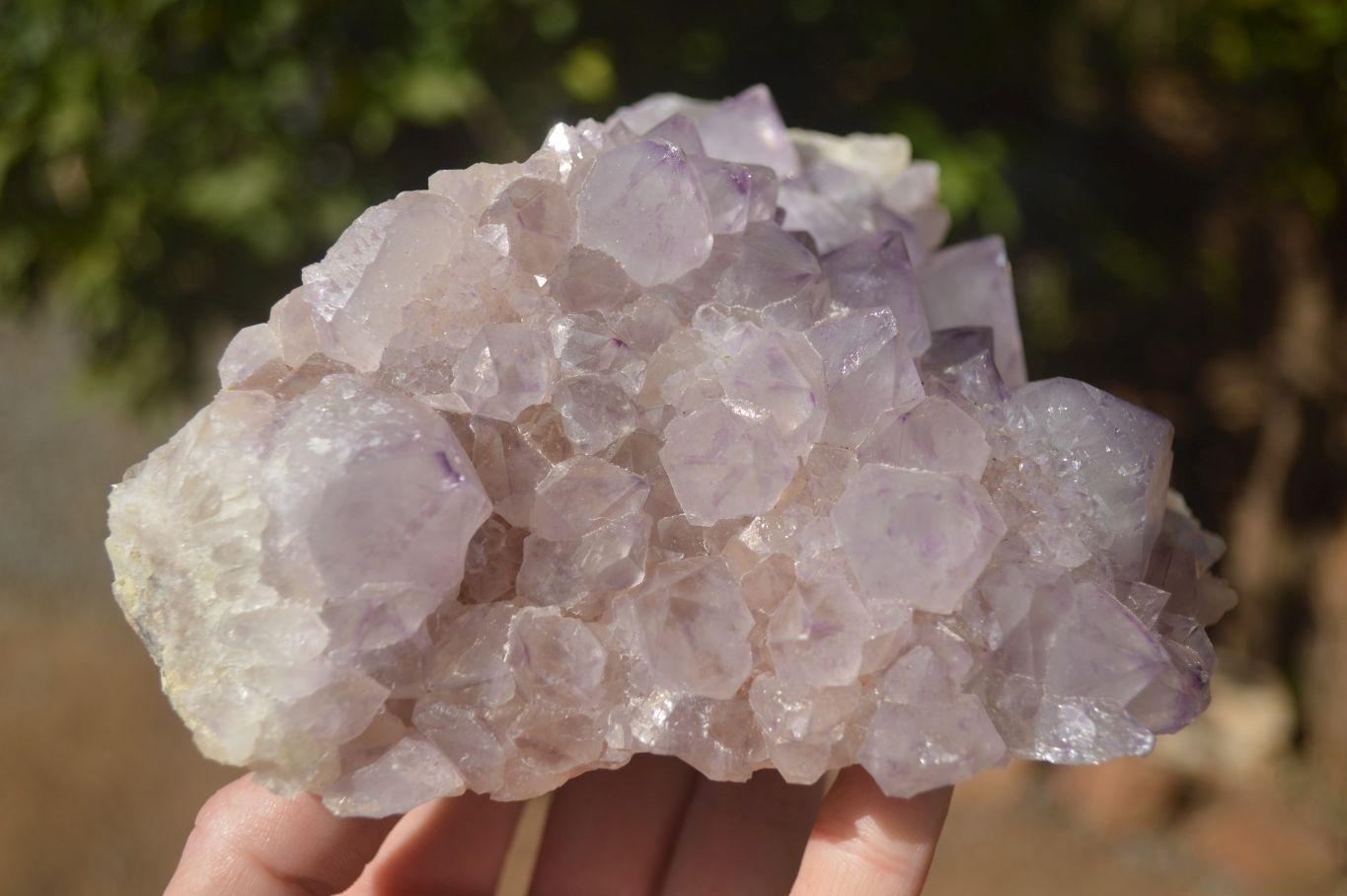 Natural Spirit Amethyst Quartz Clusters x 2 From Boekenhouthoek, South Africa - Toprock Gemstones and Minerals 